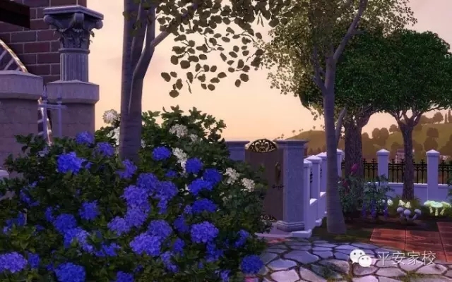 在還能做夢的年紀1.webp.jpg 在還能做夢的年紀1.webp.jpg